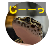 831549701
