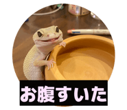 831549708