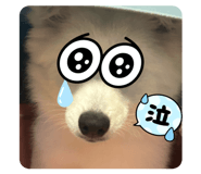 831568291