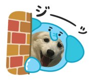 831568304