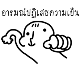 ลายที่ 23