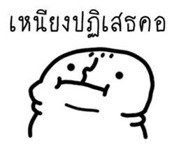 ลายที่ 29