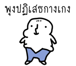 ลายที่ 31