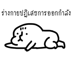 ลายที่ 47