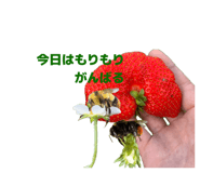 831568686