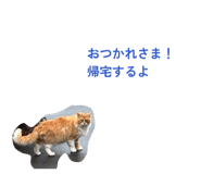 831568688