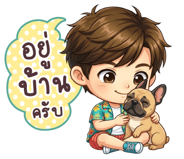 ลายที่ 11