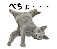 831570903