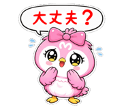 831572063