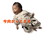 831614262