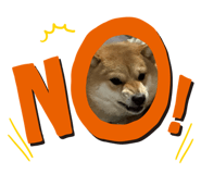 831616262