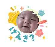 831617447
