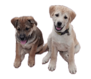 831639901