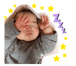831645334