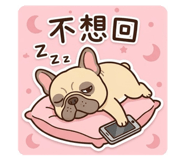 831648008