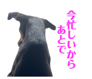 831648567