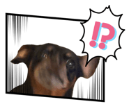 831648572