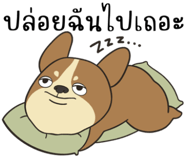 831650581