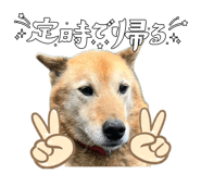 831651676