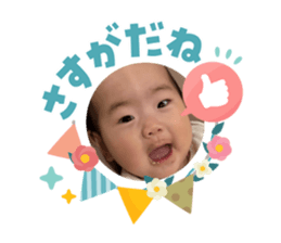 831664654
