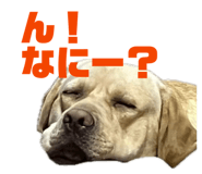 831665981