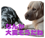 831665987