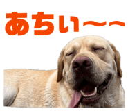 831665990