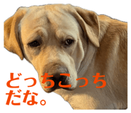 831665993