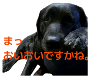 831665995