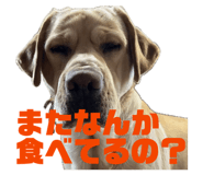 831665997