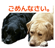 831665998