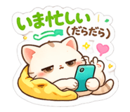 831684855