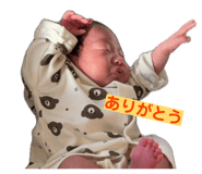 831685779