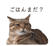 831711154