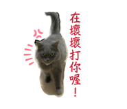 831730148