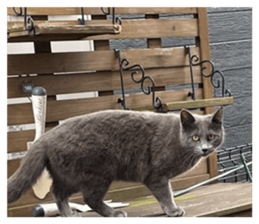 831742294