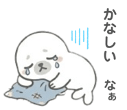 831748081