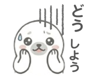 831748084