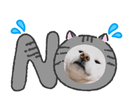 831784833