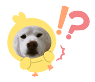 831784837
