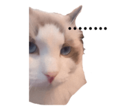831785185