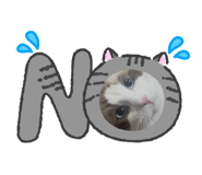831785190