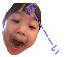 83180353