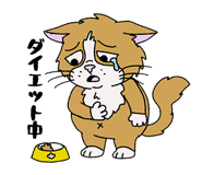 831804153