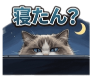 831805779