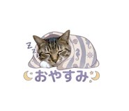 831913472