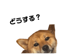 831966508