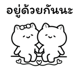 อาจจะเป็นแมวนะ (เซต.3) รูปที่ 3