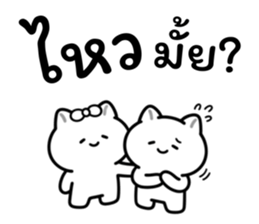 อาจจะเป็นแมวนะ (เซต.3) รูปที่ 17