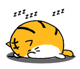 8319707